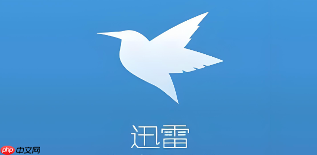 迅雷网盘文件上传入口_迅雷网盘在线文件传输官方通道