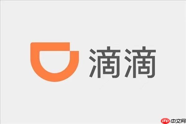 滴滴出行2025年度总结怎么弄 滴滴年度报告分享链接