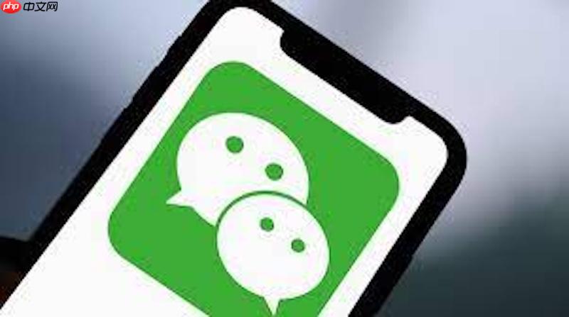 微信显示文件已过期或被清理怎么恢复 微信文件恢复技巧【攻略】