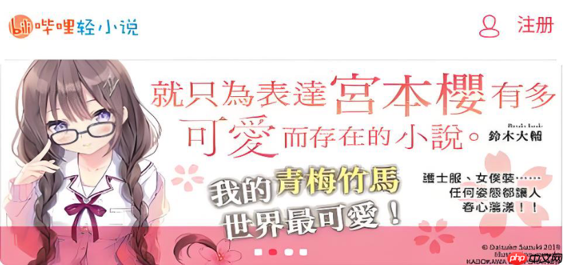 哔哩轻小说书库大全入口_哔哩轻小说分类检索中心