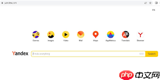 俄罗斯搜索入口引擎官网是什么