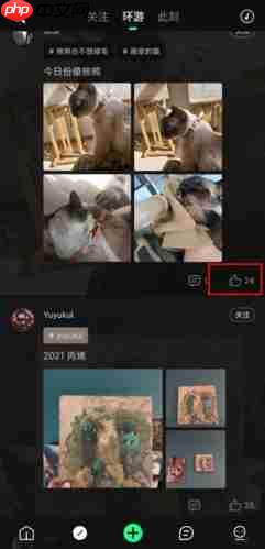 我岛app怎么表态-我岛app表态方法介绍