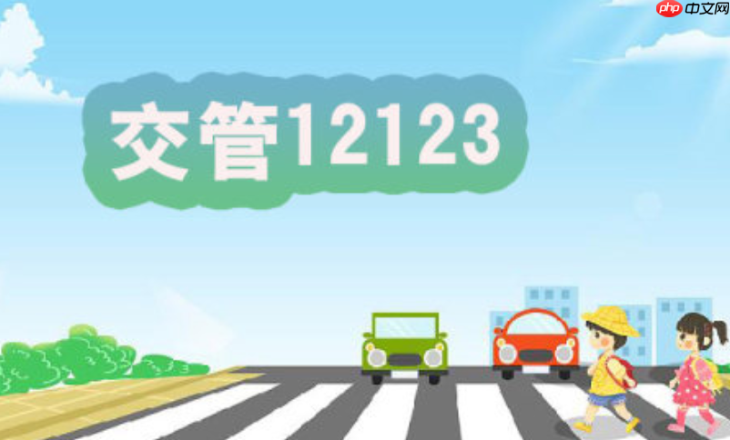 补领机动车号牌怎么操作 交管12123车牌丢失申请补发详细步骤