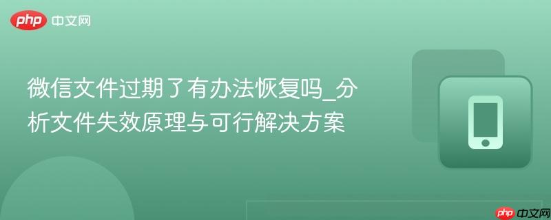 微信文件过期了有办法恢复吗_分析文件失效原理与可行解决方案