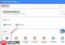 如何查询公司开的发票