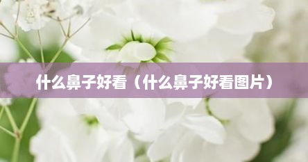 什么鼻子好看（什么鼻子好看图片）