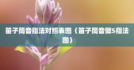 笛子筒音指法对照表图（笛子筒音做5指法图）