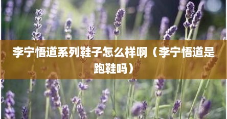 李宁悟道系列鞋子怎么样啊（李宁悟道是跑鞋吗）