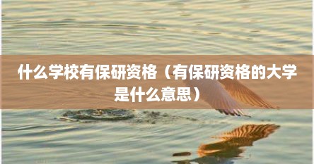 什么学校有保研资格（有保研资格的大学是什么意思）