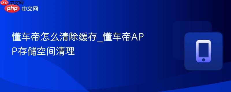 懂车帝怎么清除缓存_懂车帝app存储空间清理
