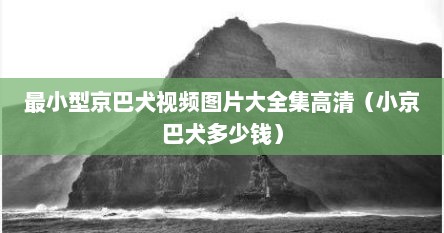 最小型京巴犬视频图片大全集高清（小京巴犬多少钱）