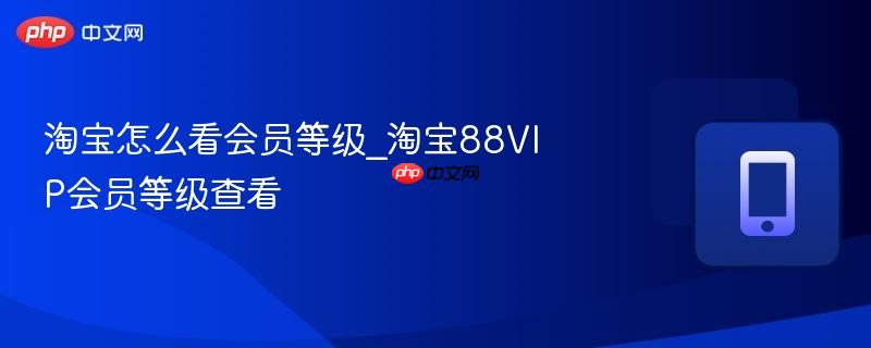 淘宝怎么看会员等级_淘宝88vip会员等级查看