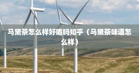 马黛茶怎么样好喝吗知乎（马黛茶味道怎么样）