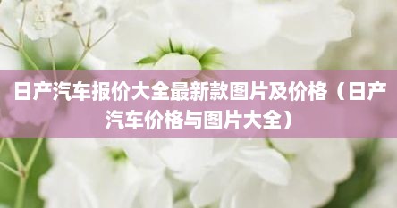 日产汽车报价大全最新款图片及价格（日产汽车价格与图片大全）