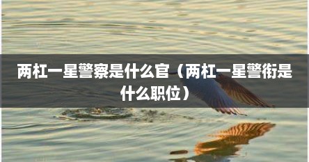 两杠一星警察是什么官（两杠一星警衔是什么职位）