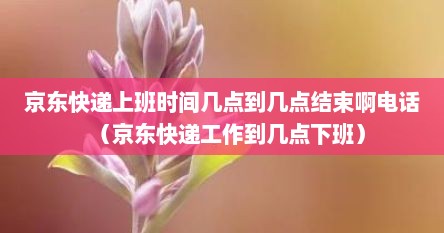 京东快递上班时间几点到几点结束啊电话（京东快递工作到几点下班）