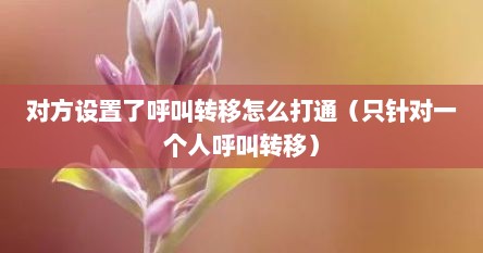 对方设置了呼叫转移怎么打通（只针对一个人呼叫转移）