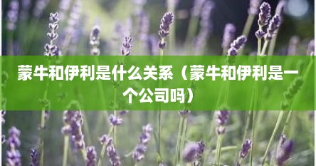 蒙牛和伊利是什么关系（蒙牛和伊利是一个公司吗）