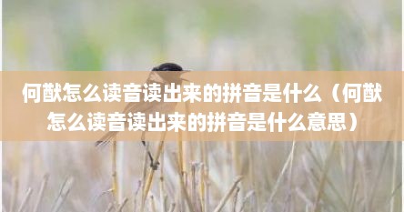 何猷怎么读音读出来的拼音是什么（何猷怎么读音读出来的拼音是什么意思）