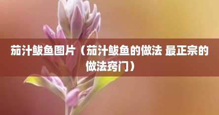 茄汁鲅鱼图片（茄汁鲅鱼的做法 最正宗的做法窍门）