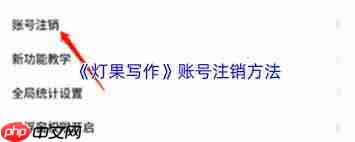 灯果写作如何导出小说