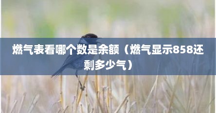 燃气表看哪个数是余额（燃气显示858还剩多少气）