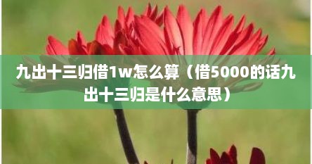 九出十三归借1w怎么算（借5000的话九出十三归是什么意思）