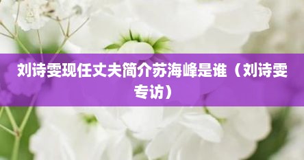刘诗雯现任丈夫简介苏海峰是谁（刘诗雯专访）