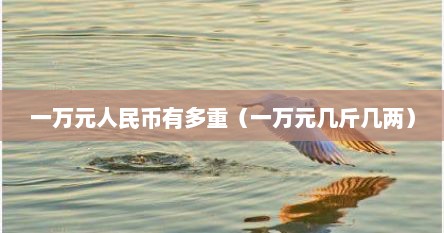 一万元人民币有多重（一万元几斤几两）