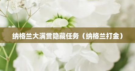 纳格兰大满贯隐藏任务（纳格兰打金）