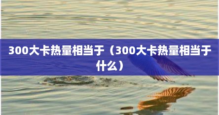 300大卡热量相当于（300大卡热量相当于什么）