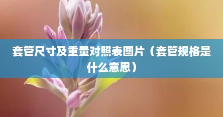 套管尺寸及重量对照表图片(套管规格是什么意思)