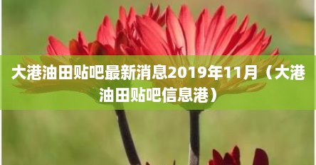 大港油田贴吧最新消息2019年11月（大港油田贴吧信息港）