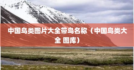 中国鸟类图片大全带鸟名称（中国鸟类大全 图库）