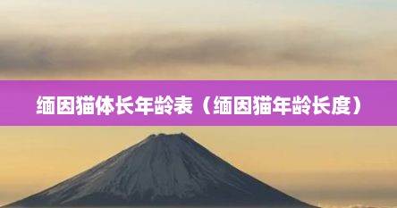 缅因猫体长年龄表（缅因猫年龄长度）