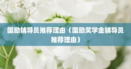 国励辅导员推荐理由（国励奖学金辅导员推荐理由）