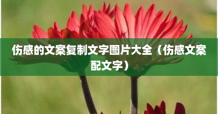 伤感的文案复制文字图片大全（伤感文案配文字）