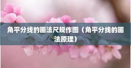 角平分线的画法尺规作图（角平分线的画法原理）