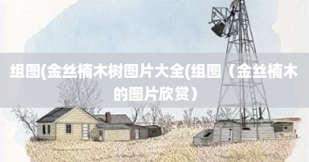 组图(金丝楠木树图片大全(组图（金丝楠木的图片欣赏）