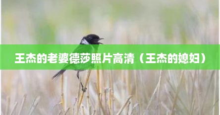 王杰的老婆德莎照片高清（王杰的媳妇）