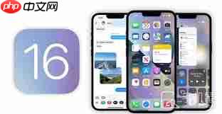 苹果微信如何设置面容支付