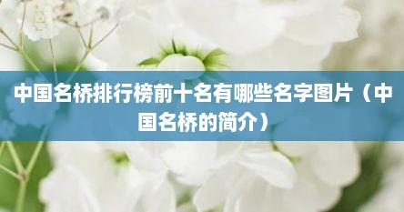 中国名桥排行榜前十名有哪些名字图片（中国名桥的简介）
