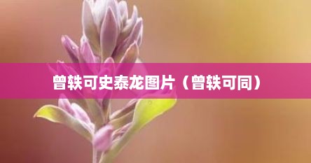 曾轶可史泰龙图片（曾轶可同）