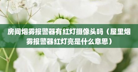 房间烟雾报警器有红灯摄像头吗（屋里烟雾报警器红灯亮是什么意思）