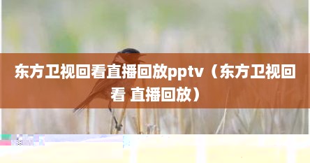 东方卫视回看直播回放pptv（东方卫视回看 直播回放）
