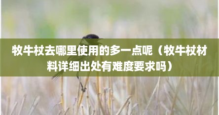 牧牛杖去哪里使用的多一点呢（牧牛杖材料详细出处有难度要求吗）