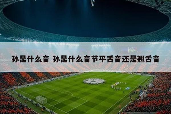 孙是什么音 孙是什么音节平舌音还是翘舌音