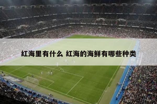 红海里有什么 红海的海鲜有哪些种类