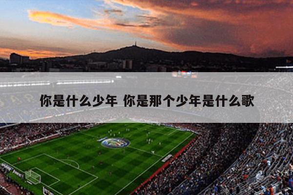 你是什么少年 你是那个少年是什么歌