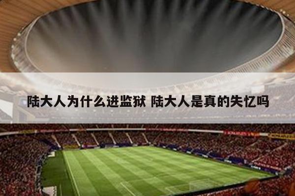 陆大人为什么进监狱 陆大人是真的失忆吗